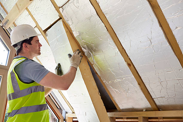 Best Insulation Installation Services in Johnston City, IL